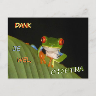 Cartão Postal Sapo Noturno Espetacular de Olhos Vermelhos - Post