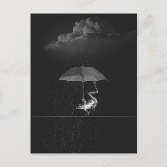 Cartão Postal Sapo preto e branco bobo com guarda-chuva na chuva (Frente)
