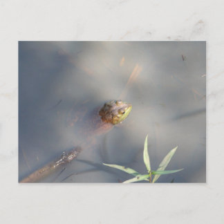 Cartão Postal Sapo, Santuário Marsh