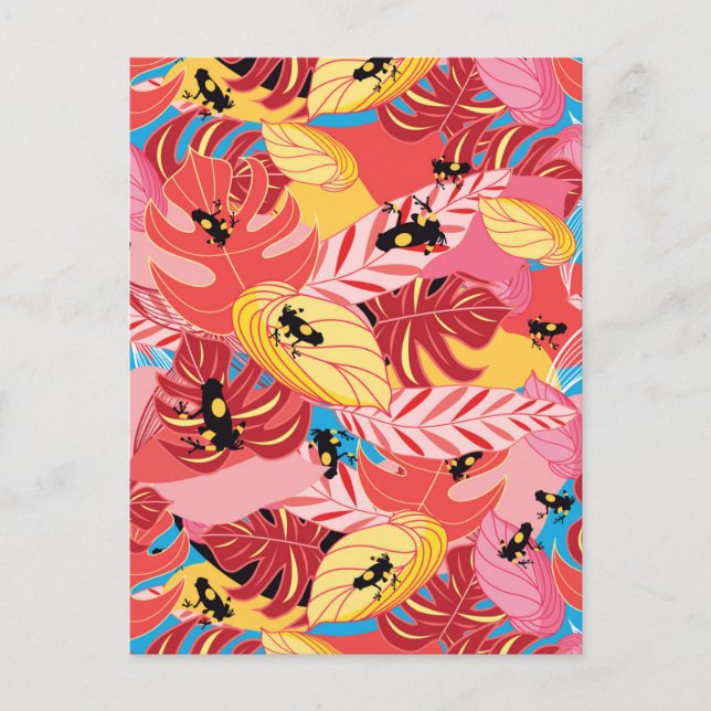 Cartão Postal Sapos da selva (Frente)