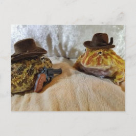 Cartão Postal Sapos de cowboy