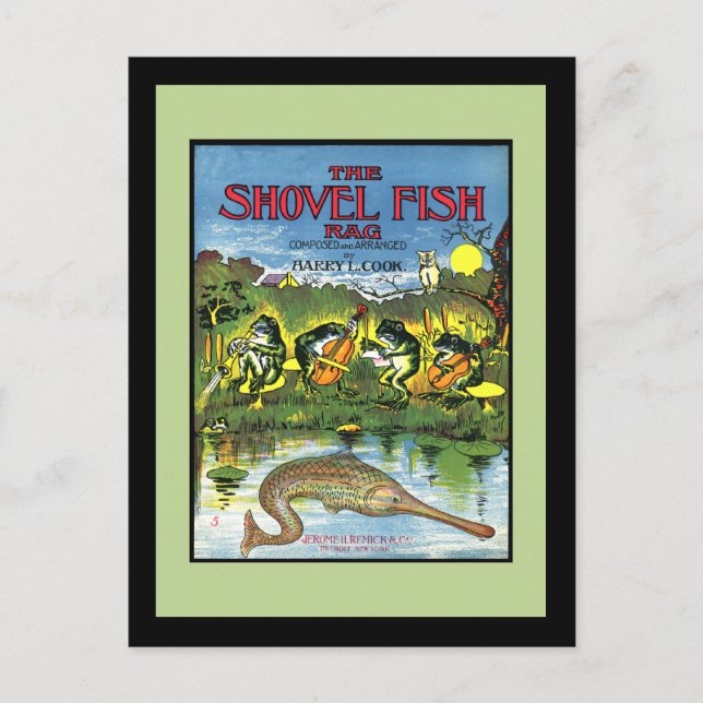 Cartão Postal Sapos na Banda (Frente)