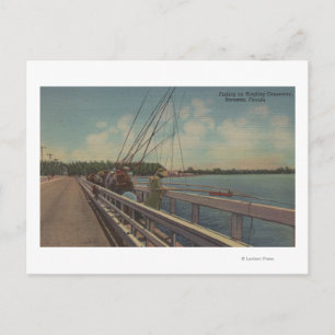 Cartão Postal Sarasota, FL - Vista da Pesca Pessoas