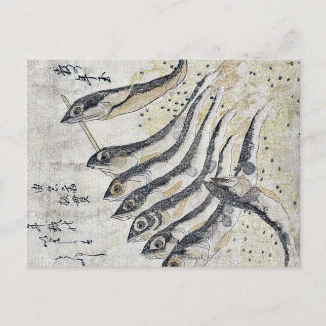 Cartão Postal Sardinhas de Teisai, Hokuba Ukiyoe (Frente)