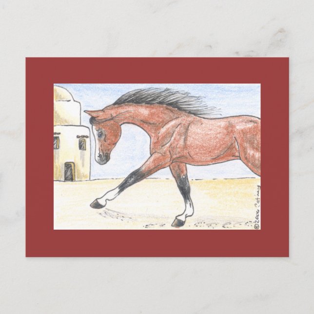 Cartão Postal "Saree bint Sehkit" (Frente)