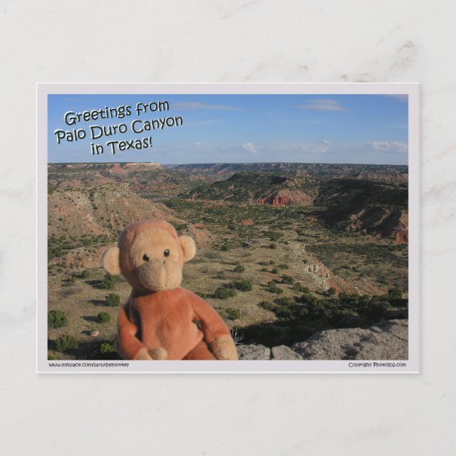 Cartão Postal Saru #3 (Frente)