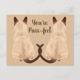 Cartão Postal Sasha Siamese Cat Lover Vista de trás Você é Puro