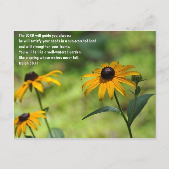 Cartão Postal Satisfação numa Terra Escorregada pelo Sol (Frente)