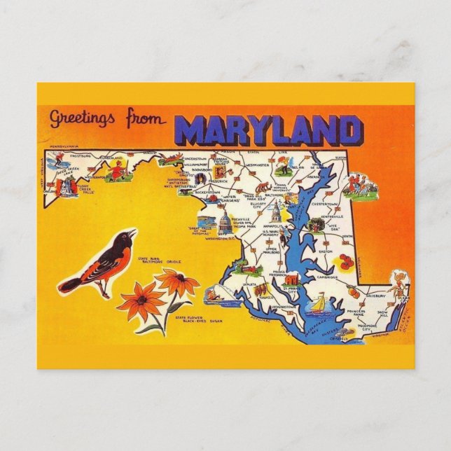 Cartão Postal Saudação Antiga de Maryland (Frente)