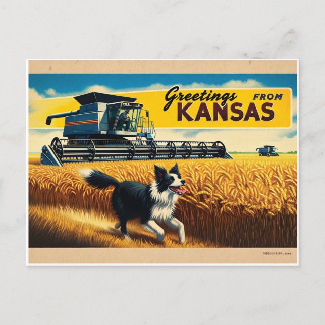Cartão Postal Saudação Da Borda De Combate De Trigo Do Kansas Co (Frente)
