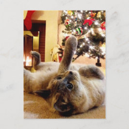 Cartão Postal Saudação de Natal pelo Bubbles