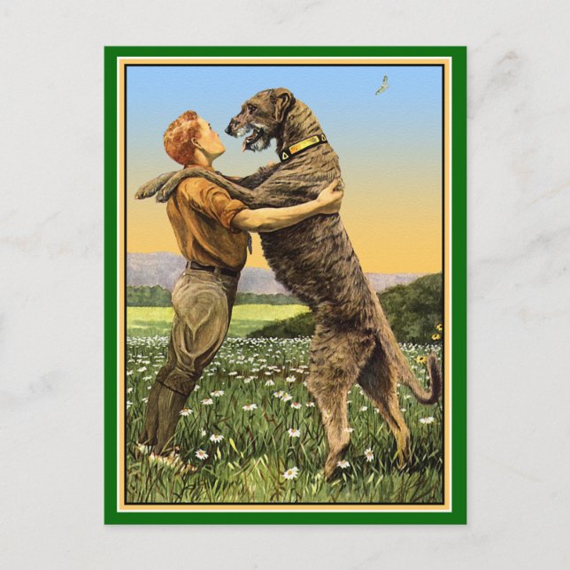 Cartão Postal "Saudação do Wolfhound Irlandês" (Frente)