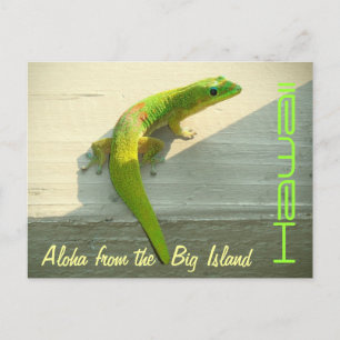 Cartão Postal Saudação postal da lagartixa Havaiana