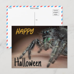 Cartão Postal Saudação Spooky Spider Halloween