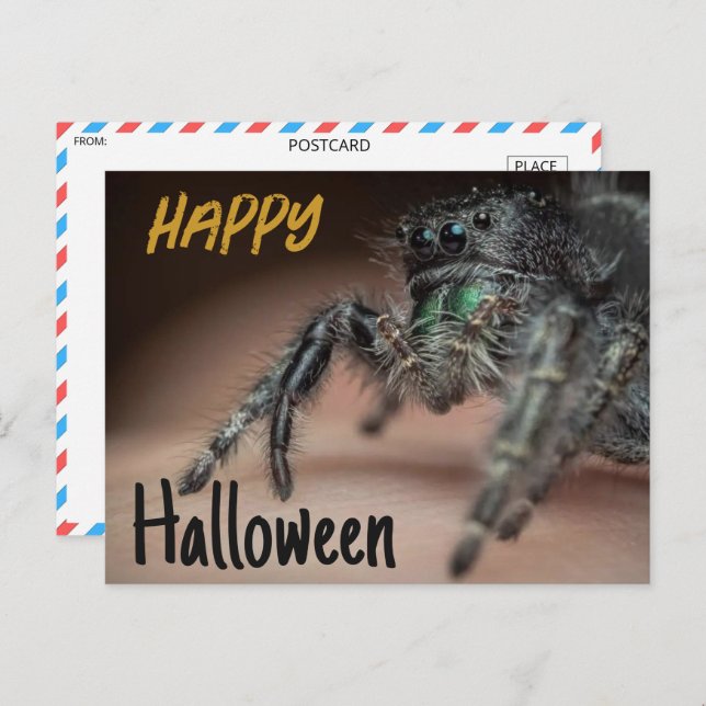 Cartão Postal Saudação Spooky Spider Halloween (Frente/Verso)