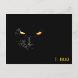 Cartão Postal Saudações Black Cat engraçado personalizável