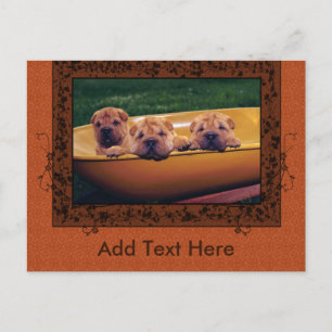 Cartão Postal Saudações Bonitas dos Puppies