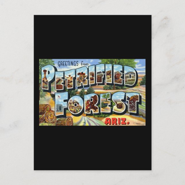 Cartão Postal Saudações da Arizona da Floresta Petrificada (Frente)