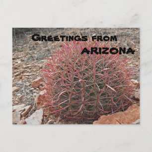 Cartão Postal Saudações da Arizona Red Barrel Cactus Plant