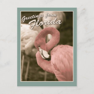 Cartão Postal Saudações da Flórida