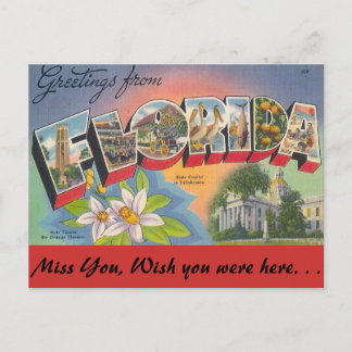 Cartão Postal Saudações da FLORIDA