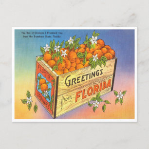 Cartão Postal Saudações da Florida Orange Vintage Travel