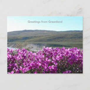 Cartão Postal Saudações da Gronelândia 10
