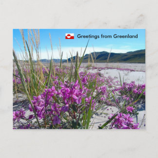 Cartão Postal Saudações da Gronelândia 5