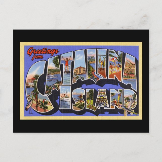 Cartão Postal Saudações da Ilha Catalina (Frente)
