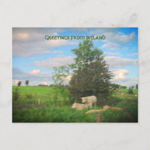 Cartão Postal Saudações da Irish Photoshop