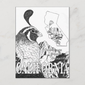 Cartão Postal Saudações Da Linda Califórnia