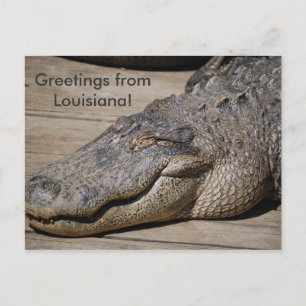 Cartão Postal Saudações da Louisiana