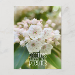 Cartão Postal Saudações da Montanha Poconos Laurel