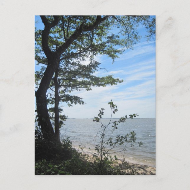 Cartão Postal Saudações da praia! (Frente)