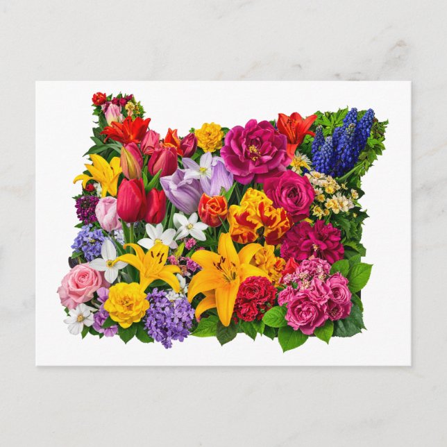Cartão Postal Saudações das Flores do Oregon em Sangue (Frente)