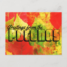 Cartão Postal Saudações das Folhas Coloridas Poconos