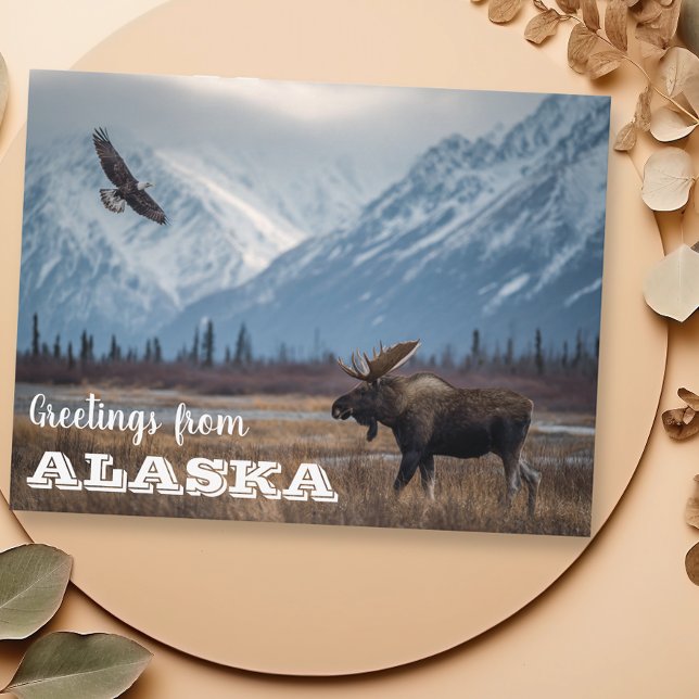 Cartão Postal Saudações de Alaska Moose e Bald Eagle (Criador carregado)