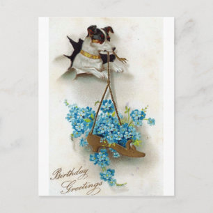 Cartão Postal Saudações de aniversário de cachorro fofo e sapato