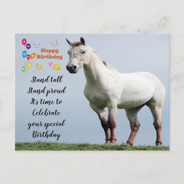 Cartão Postal Saudações de aniversário de cavalo (Frente)