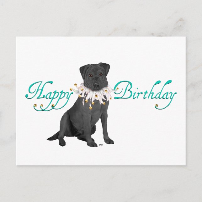 Cartão Postal Saudações de Aniversário do Labrador Retriever (Frente)