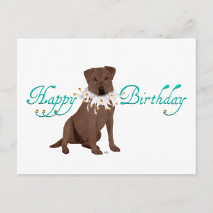 Cartão Postal Saudações de Aniversário do Labrador Retriever