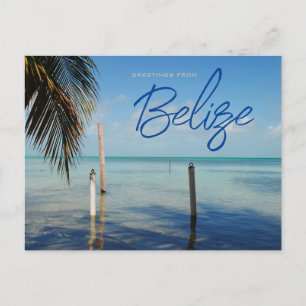 Cartão Postal Saudações de Caulker Caye Belize