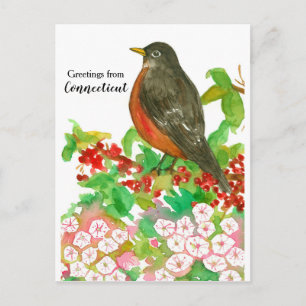 Cartão Postal Saudações de Connecticut American Robin