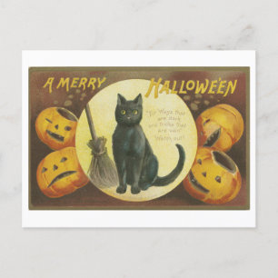 Cartão Postal Saudações de Halloween Vintage com Gato Preto