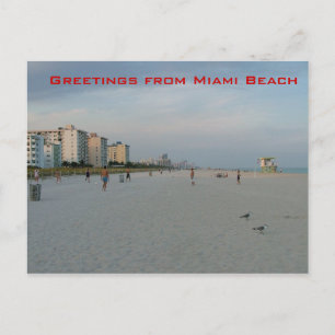 Cartão Postal Saudações de Miami Beach