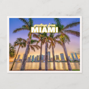 Cartão Postal Saudações de Miami Flórida Foto Retro da Palmeira