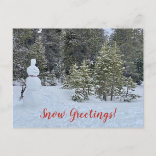 Cartão Postal Saudações de Neve da Cidade de Tahoe!