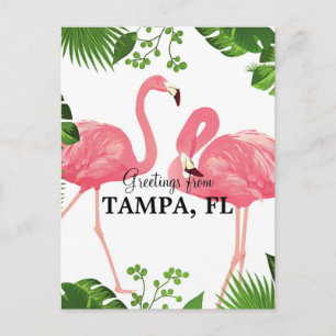 Cartão Postal Saudações de Tampa, FL
