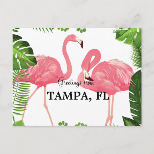 Cartão Postal Saudações de Tampa, Flórida