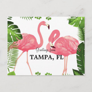 Cartão Postal Saudações de Tampa, Flórida
